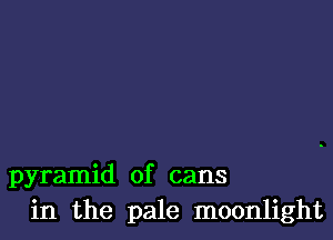 pyramid of cans
in the pale moonlight