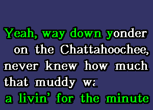 Yeah, way down yonder
0n the Chattahoochee,

never knew how much

that muddy wz

a livin, for the minute