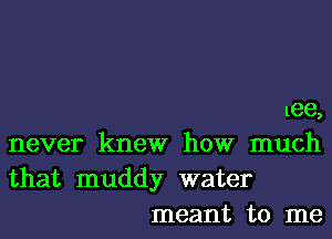 Lee,

never knew how much

that muddy water

meant to me