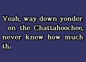 Yeah, way down yonder
0n the Chattahoochee,
never knew how much

thL