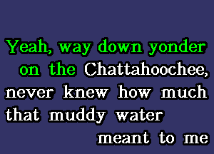 Yeah, way down yonder
0n the Chattahoochee,
never knew how much

that muddy water
meant to me