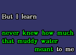 But I learn

never knew how much
that muddy water
meant to me