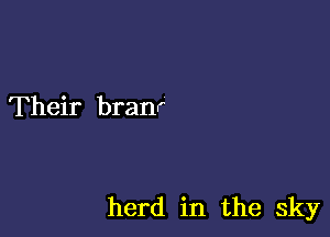 Their branr

herd in the sky