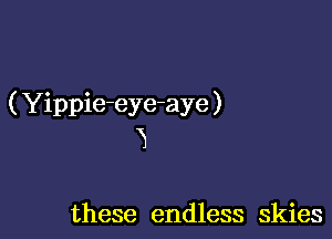 ( Yippie-eye-aye )

3

these endless skies