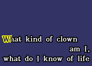 What kind of clown
am I,
What do I kltlowr of life