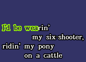 mum,

my six-shooter,
riditf my pony
on a cattle