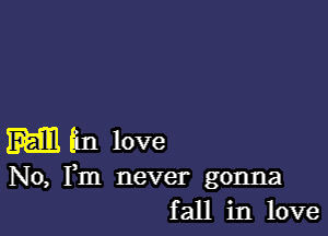 M En love

No, Fm never gonna
fall in love