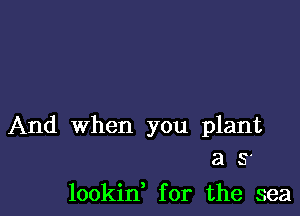 And when you plant
a s-

lookid for the sea