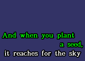 And when you plant
a seed,
it reaches for the sky