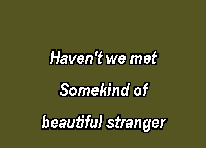 Haven 't we met

Somekind of

beautiful stranger