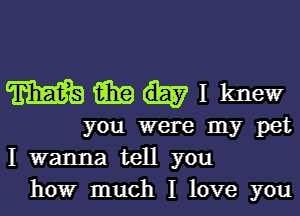 mmhlknew

you were my pet
I wanna tell you
how much I love you