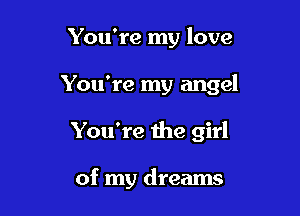 You're my love

You're my angel

You're the girl

of my dreams