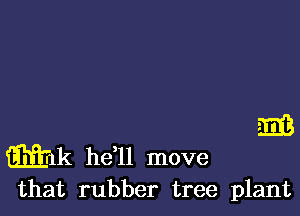 E3

mm he 1l move
that rubber tree plant