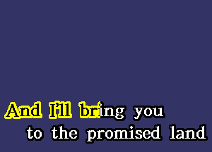 Ami! 11m Timing you

to the promised land