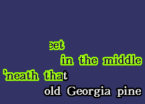 xii

Ewan
mam

old Georgia pine