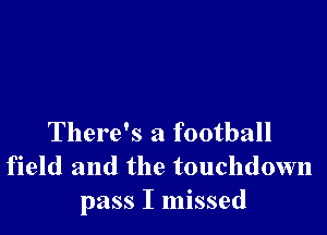 There's a football
field and the touchdown
pass I missed