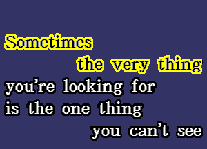 Sometimes

15in m m
you,re looking for

is the one thing
you can,t see