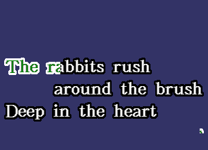 m atabbits rush

around the brush
Deep in the heart