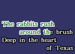 mmm

(aha brush
lDeep in the heart

of'Texas