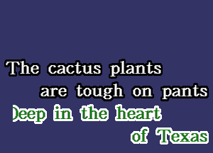 The cactus plants
are tough on pants

hmmm
QM