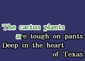 mmis-

are tough on pants
Deep in the heart
of Texas