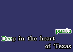 panis
in the heart

of Texas