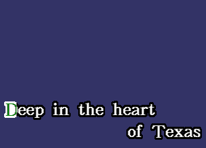 Eileep in the heart
of Texas