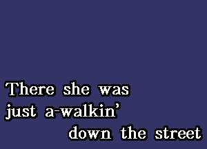 There she was
just a-walkin,
down the street