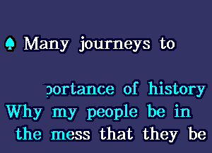 9 Many journeys to

portance of history
Why my people be in
the mess that they be