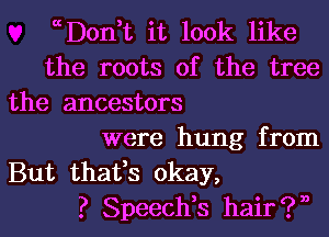 ccDon,t it look like
the roots of the tree
the ancestors
were hung from
But that,s okay,
? Speech,s hair?n