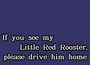 If you see my
Little Red Rooster,
please drive him home