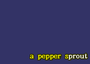 a pepper sprout