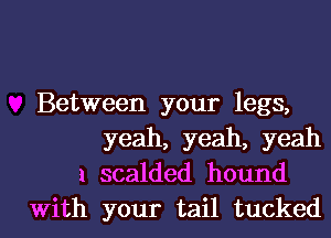 Between your legs,
yeah, yeah, yeah
1 scalded hound

With your tail tuckedl