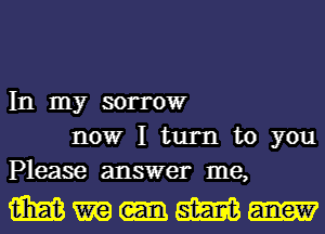 In my SOITOW
nowr I turn to you
Please answer me,

Wmum