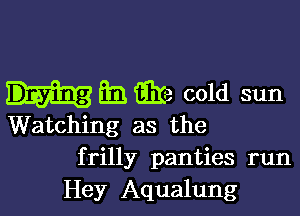 E13) E18 cold sun

Watching as the
frilly panties run
Hey Aqualung