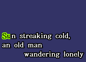 gin streaking cold,
an old man
wandering lonely