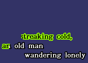 (mil,

gm old man

wandering lonely l