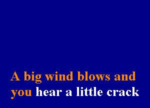 A big wind blows and
you hear a little crack