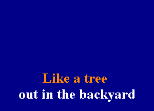 Like a tree
out in the backyard