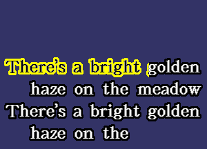 m a golden

haze on the meadow
There,s a bright golden
haze on the