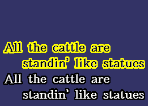 (Am aim (Ema
mm m
All the cattle are
standitf like statues