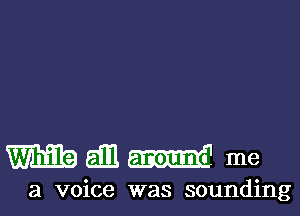 mallm me

a voice was sounding