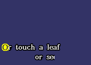 ((3)3- touch a leaf
or set