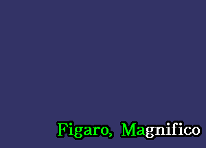 Figaro, Magnifico