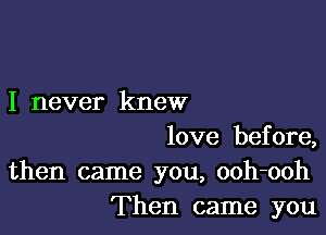 I never knew

love before,
then came you, ooh-ooh
Then came you