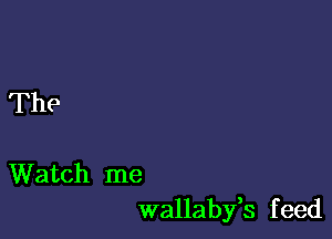 The

Watch me
wallaby,s f eed