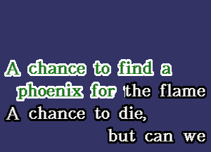 Ammua

1the flame
A chance to die,
but can we