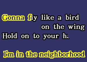 Qy like a bird
on the Wing

Hold on to your 11L

mm m i919 neighlbonhood