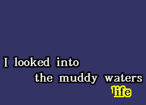 I looked into

the muddy waters

w