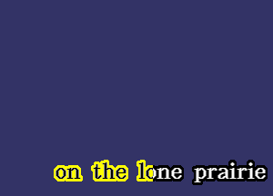 m ibne prairie